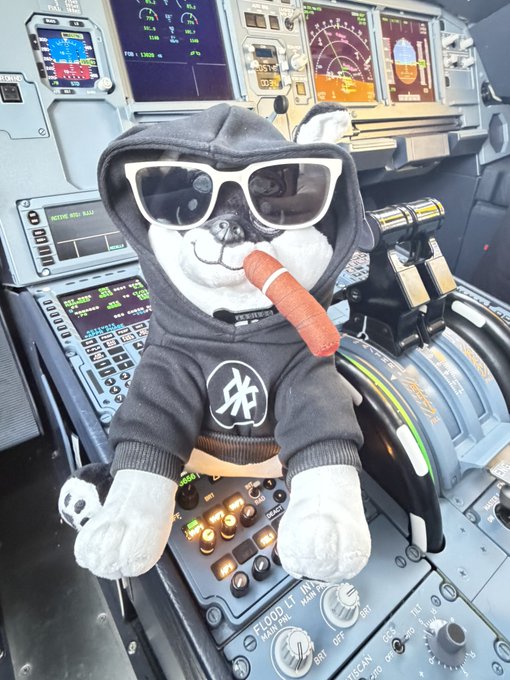 A plush dog wearing sunglasses and a hoodie featuring the $DOG logo sits in an airplane cockpit with a cigar in its mouth, visually positioning the mascot as the "captain" of the Bitcoin blockchain. The image plays on the post's bullish $DOG narrative, with cockpit displays showing navigational text like "ND 13800" and "HDG" reinforcing the "piloting" of the Bitcoin ecosystem theme.