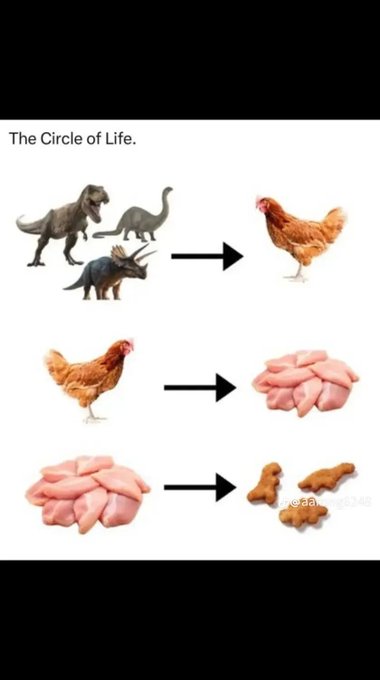 A humorous infographic titled "The Circle of Life" showing dinosaurs turning into a chicken, the chicken into raw chicken nuggets, and the nuggets into dinosaur-shaped chicken nuggets.