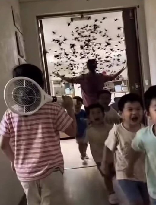 A chaotic scene shows children running excitedly down a hallway as a person opens a door revealing hundreds of bats swarming inside, while another person holds an electric racket.