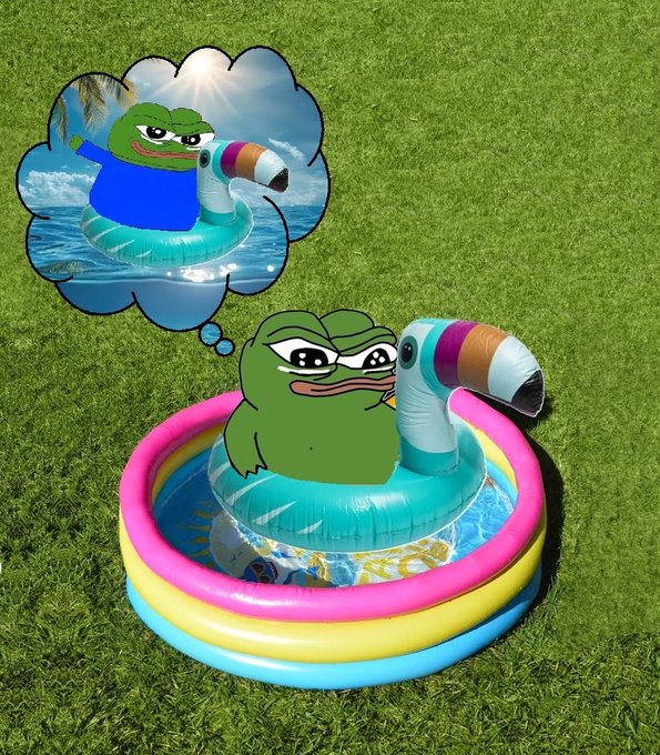 A meme image showing a cartoon Pepe the Frog character daydreaming about floating in a tropical ocean on an inflatable flamingo pool toy, while the real frog character sits in a small, three-tiered inflatable kiddie pool on the grass.