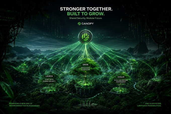The image features a poster for @CNPYNetwork that promotes the concept of networks sharing security and infrastructure. The poster depicts a forest scene with trees and a large tree at its center, symbolizing the idea of interconnectedness and cooperation among networks. The text on the poster emphasizes the importance of collaboration in the context of blockchain technology, encouraging users to consider the benefits of working together rather than focusing solely on individual competition.