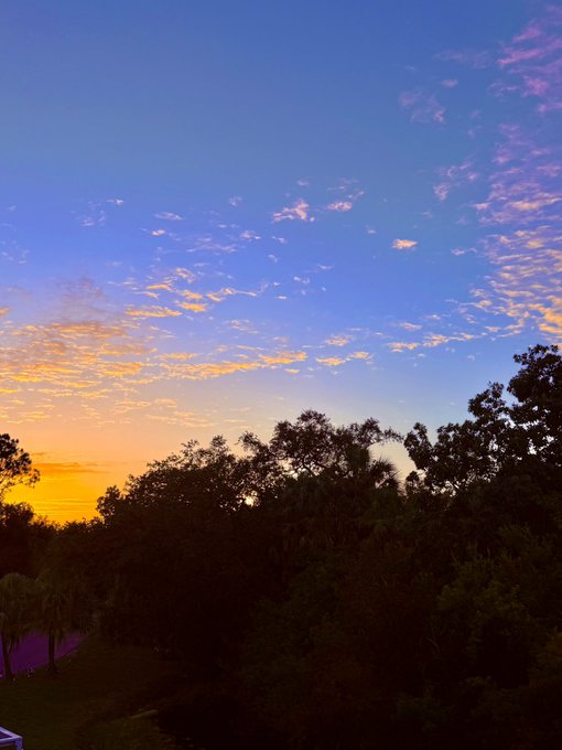 A scenic sunset photograph with vibrant orange and blue sky above a dark silhouette of trees.