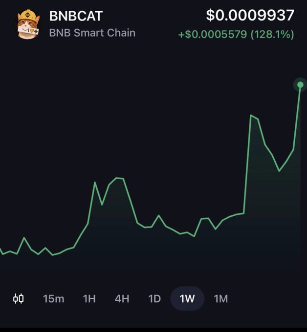 A crypto price chart showing BNBCAT on BNB Smart Chain at $0.0009937, up 128.1% ($0.0005579), with a green line graph illustrating a strong weekly price surge.
