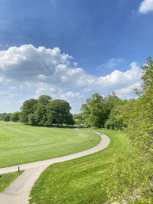 A scenic landscape photograph captures a winding paved path through a vast green park, flanked by lush trees under a bright blue sky with scattered white clouds.