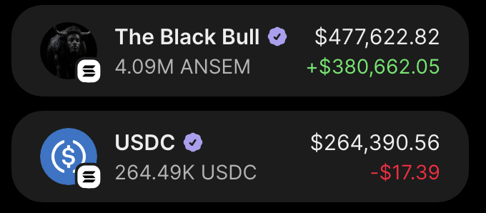 A cryptocurrency portfolio tracking app showing holdings of 'The Black Bull' with 4.09M ANSEM valued at $477,622.82 (+$380,662.05) and 'USDC' with 264.49K USDC valued at $264,390.56 (-$17.39).