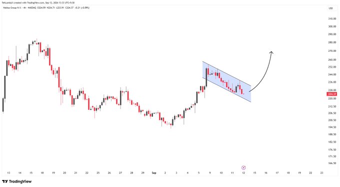 TradingView chart showing Tesla (TSLA) stock at $226.17 on NASDAQ, featuring a falling wedge or descending channel pattern drawn in blue with an arrow indicating potential upward breakout.