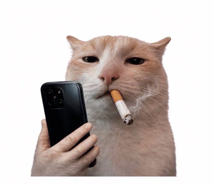 [caption-failed: minimax unavailable]