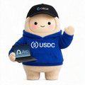 A small plush mascot character dressed in a blue USDC cryptocurrency hoodie, representing the stablecoin token.