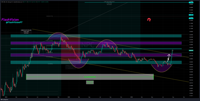 A dark-themed stock chart for 'NFLX' displays red and green candlestick patterns with purple and teal horizontal zones, trend lines, and logos 'FlashVision' and '©FlashVisionPT'.