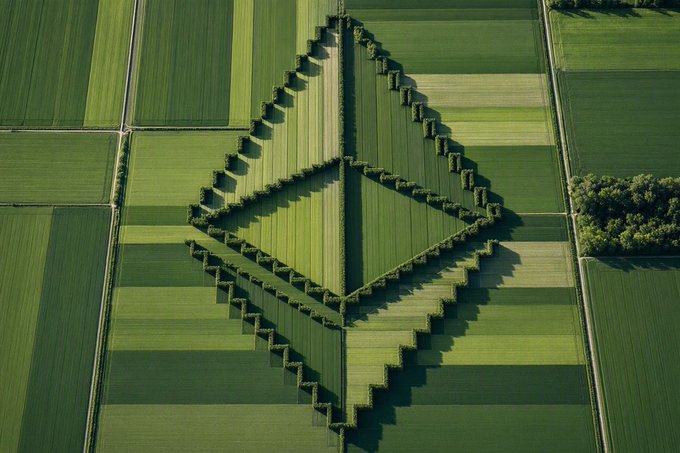 An aerial view of agricultural fields arranged in a geometric pattern with tree lines forming a diamond or kite shape, showcasing varying shades of green.