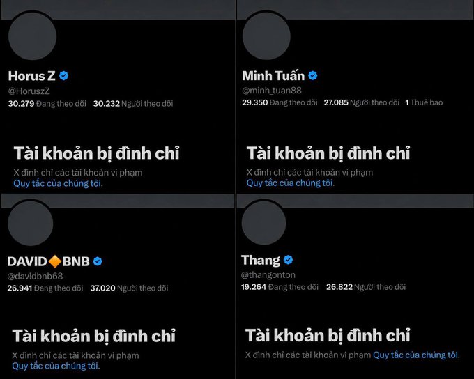 Four Twitter/X accounts displayed in a grid: Horus Z, Minh Tuấn, DAVID 🔶 BNB, and Thang, all showing Vietnamese 'Tài khoản bị đình chỉ' (Account suspended) messages.