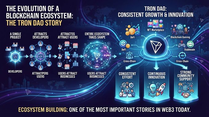An infographic titled "The Evolution of a Blockchain Ecosystem: The TRON DAO Story" illustrates how a single project grows by attracting developers, users, and businesses to form a full ecosystem, ultimately highlighting TRON DAO's consistent growth and innovation across DeFi, NFT Marketplace, Blockchain Gaming, and Stablecoin sectors. The visual progression aligns with the post's message about how blockchain ecosystems rapidly evolve from a single project into a thriving network, with TRON DAO serving as a prime example of community-driven expansion through consistent effort, continuous innovation, and strong community support.