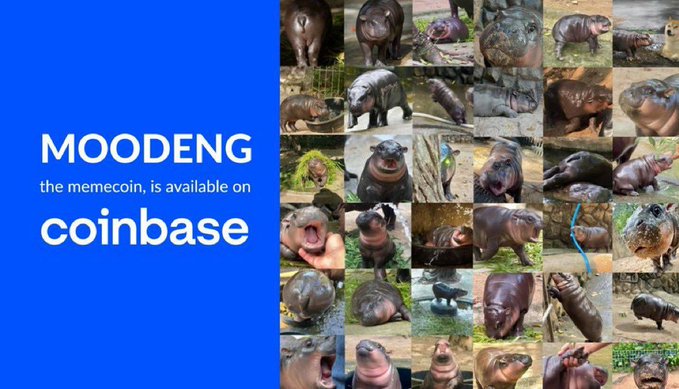 The image features a collage of various photos of hippos, with some appearing larger than others due to their position within the frame. The text "MOODENG" is written above the images, which suggests that this is a meme or humorous collection of images related to coinbase. The post also mentions that the meme is available on coinbase, indicating that it can be easily shared and viewed by users of the coinbase platform.