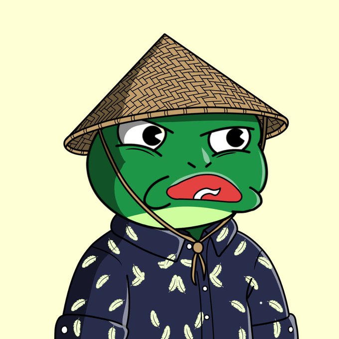 A cartoon illustration of the Pepe the Frog character with a grumpy expression, wearing a traditional woven conical hat and a dark blue patterned shirt.