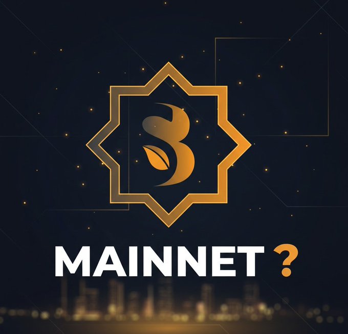 A stylized golden emblem featuring a calligraphic letter with a leaf motif sits centered above the bold text "MAINNET ?" against a dark, starry backdrop with a blurred city skyline—visually reinforcing the post's message about completing KYC and verification steps to prepare for the Sidra Chain mainnet launch.