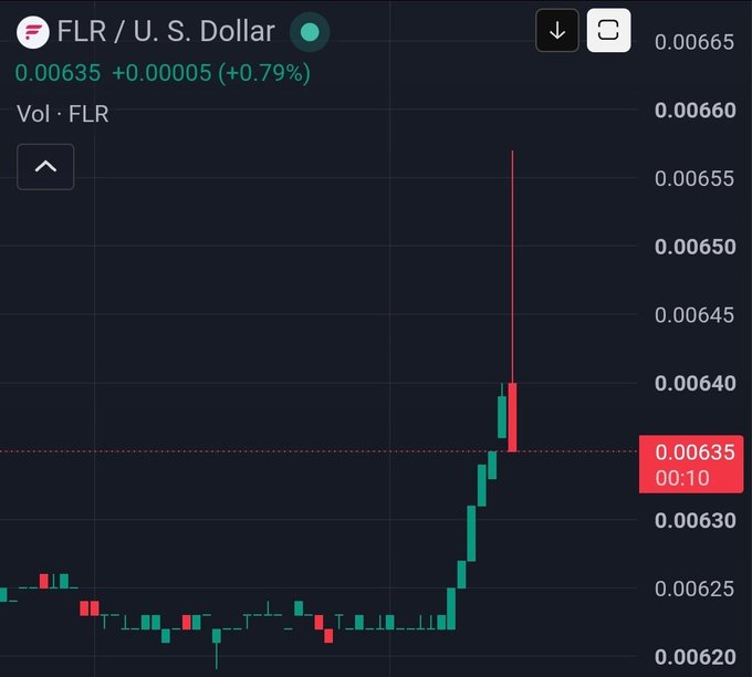 A candlestick chart showing FLR/U.S. Dollar at $0.00635 (+0.79%), with a prominent upward wick on the most recent candle (timestamped 00:10) that spikes sharply toward $0.00665, illustrating the large buy order referenced in the post.