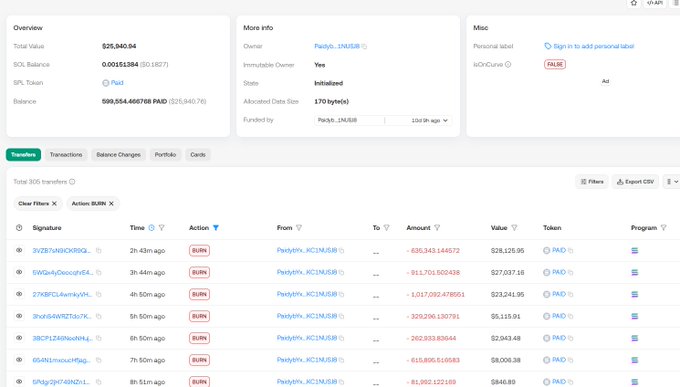 A blockchain explorer page displays a wallet overview for address 'Paidyb...9iN88B' showing a total value of $25,940.94 with a balance of 599,554,486788 PAID tokens and a list of BURN transactions.