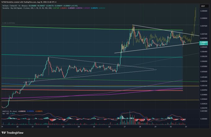 A cryptocurrency TradingView chart displays the VeChain (VET/USDT) price action on Binance, showing a recent pump to approximately $0.00839 with a symmetrical triangle pattern drawn on the 1-hour timeframe.