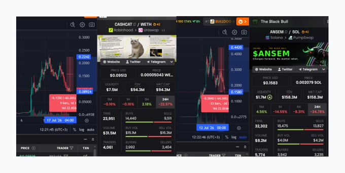 Three crypto trading chart panels showing CASHCAT/WETH ($0.09513), BUILDDOG ($0.6420), and The Black Bull/ANSEM/SOL ($0.1583) with price action and trading metrics.