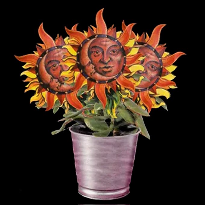 The image features a silver pot with three sunflowers inside, each one painted like a face. The faces are orange and yellow, giving them a unique appearance. The sunflowers are arranged in such a way that they appear as if they're smiling at the camera. The background of the image is black, which makes the sunflowers stand out even more. The post has been edited to include three sunflower analog collages, each with a different face painted on it.