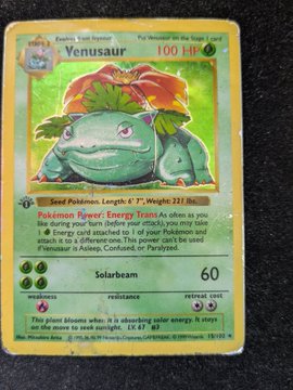 A 1st Edition holographic Venusaur Pokémon card (HP 100) with Solarbeam attack doing 60 damage, being auctioned off by a collector. The card features the classic artwork of Venusaur and includes its signature vine attack ability.