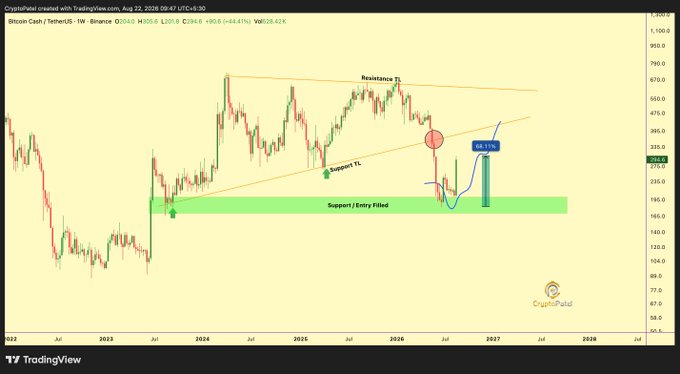 A Bitcoin/USD weekly TradingView chart from CryptoPatel dated Aug 22, 2026, showing technical analysis with a 'Support / Entry Filled' zone (~$235.6), a 'Support TL' trendline, a 'Resistance TL' line, and a projected move with a 'CL: 110' marker around 2027.
