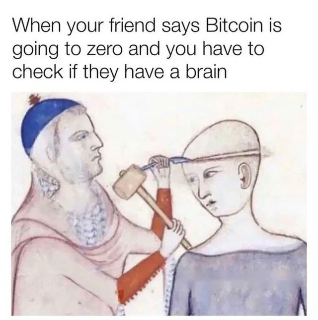A medieval-style illustration depicts one figure hammering open another person's head with a mallet to inspect their brain, paired with the text "When your friend says Bitcoin is going to zero and you have to check if they have a brain." The meme humorously visualizes the post's message about "Bitcoin Derangement Syndrome," suggesting that those doubting Bitcoin must be missing something fundamental (like a brain) due to mainstream media influence.