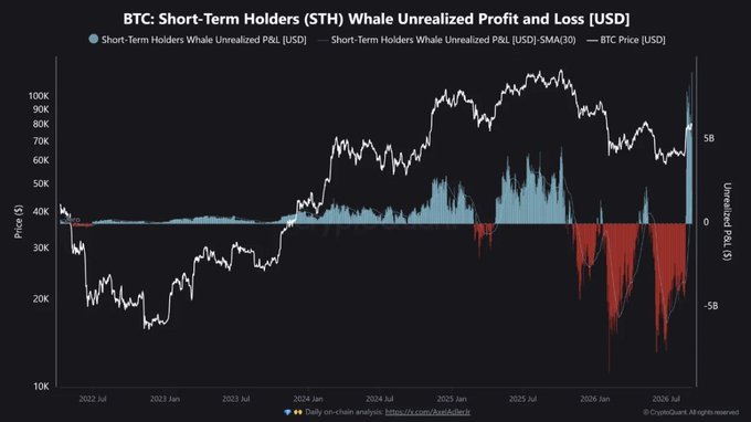 A financial chart titled 'BTC: Short-Term Holders (STH) Whale Unrealized Profit and Loss (USD)' displaying BTC price trends from 2022 to 2026 alongside whale unrealized P&L data, credited to CryptoQuant.