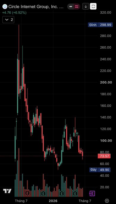 A stock chart for Circle Internet Group, Inc. (ticker "2") shows a steep decline, with the current price around $73.57, down from a peak near $298.99, visually confirming the post's claim of a roughly 72% drop over the past year. The red-heavy candlestick pattern and downward trend across the timeframe illustrate Circle's significant losses as part of the broader struggling crypto-related stocks sector.