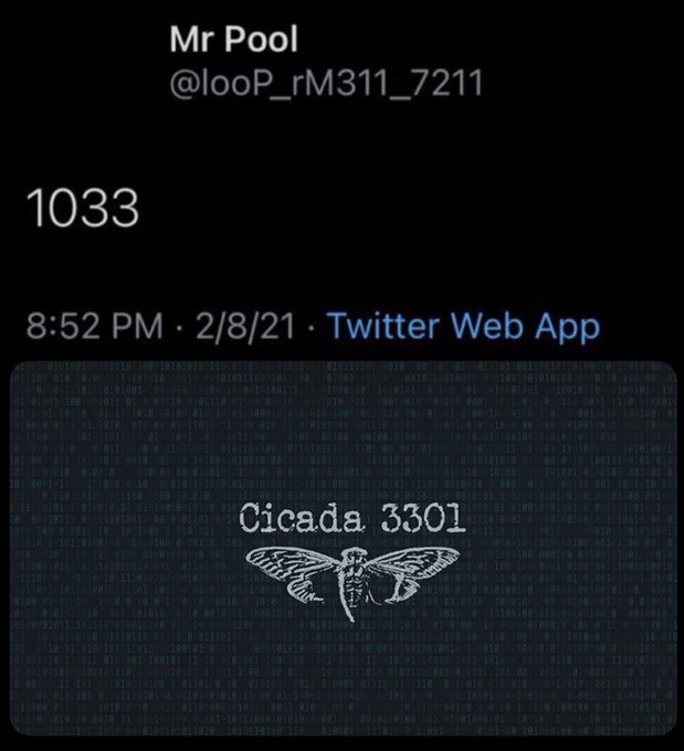 A Twitter post by Mr Pool (@looP_rM311_7211) timestamped 8:52 PM on 2/8/21 displays an image with the text "Cicada 3301" above a cicada illustration against a dark blue background of binary code, referencing the cryptic Cicada 3301 puzzles in connection to a partnership announcement between CICADA, ClearPool, Ripple, and the XRP Ledger.