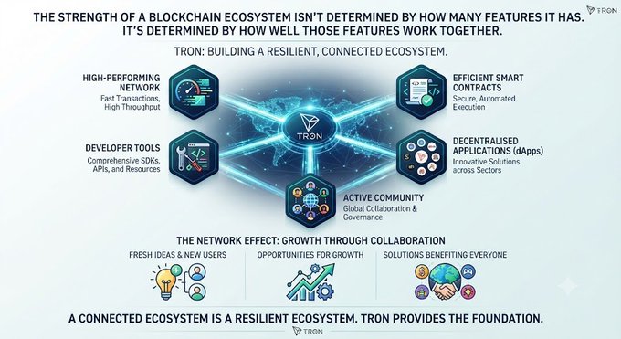 An infographic titled "THE STRENGTH OF A BLOCKCHAIN ECOSYSTEM" featuring the TRON logo in the center, with surrounding categories like "HIGH-PERFORMING NETWORK", "EFFICIENT SMART CONTRACTS", "DEVELOPER TOOLS", "DECENTRALISED APPLICATIONS", and "ACTIVE COMMUNITY".