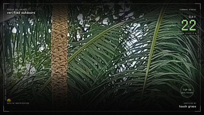 A photo of tropical palm fronds and a textured tree trunk, overlaid with text reading 'PROOF OF GRASS verified outdoors', 'CURRENT STREAK DAY 22', and 'CERTIFIED BY touch grass'.