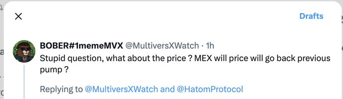A Twitter post by user BOBER#1memeMVX @MultiversXWatch asks: 'Stupid question, what about the price? MEX will price will go back previous pump?'