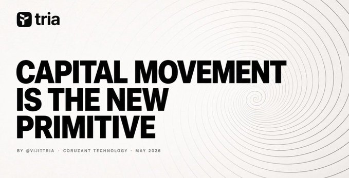 The image features a white background with black text that reads "Capital Movement Is The New Primitive" and "Focus on what is in the image and how it relates to the post". This suggests that there might be an article or blog post about the relationship between capital movement and the new primitive form of currency.