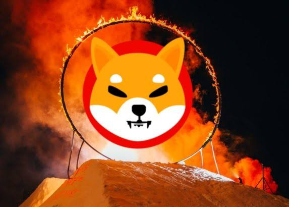 A Shiba Inu logo sits inside a fiery ring of flames atop a snowy mound, symbolizing the dramatic launch of Shiba Inu (ticker: $SHIB) as the "coolest launchpad" on Woofswap V3 on Ethereum—merging the playful branding of the meme coin with an intense, hype-driven visual.