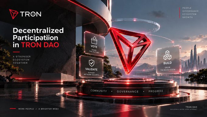 Promotional graphic for TRON DAO titled 'Decentralized Participation in TRON DAO', featuring the TRON logo and categories like VOTE, VALIDATE, and BUILD.
