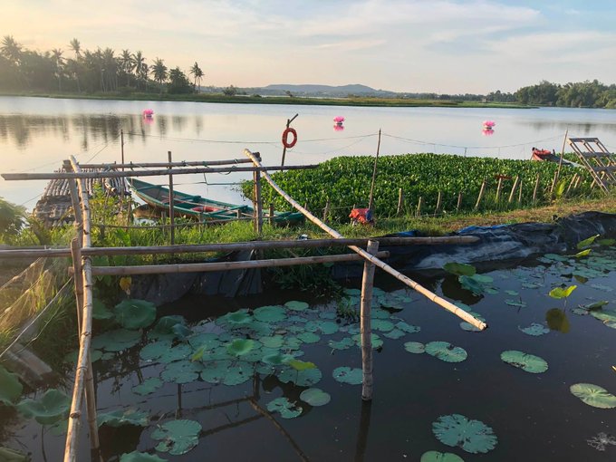 Scenic photo of a tranquil lake or river at sunset, featuring wooden poles, lotus leaves, a small boat, and distant palm trees and hills.