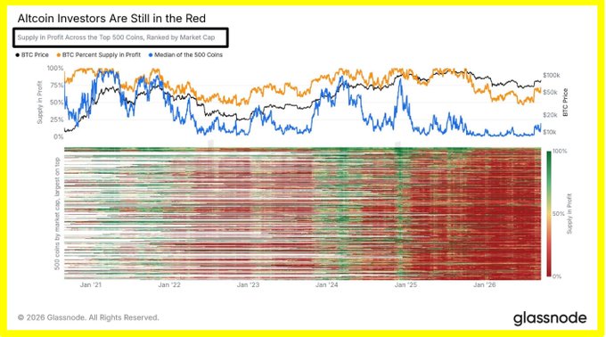 A Glassnode chart titled "Altcoin Investors Are Still in the Red" showing BTC Price, BTC Percent Supply in Profit (around 75%), and the median of the top 500 altcoins with less than 25% supply in profit as of late 2026. The visualization supports the post's claim that while Bitcoin remains profitable for most holders, the typical altcoin among the top 500 by market cap has less than 25% of investors in profit.