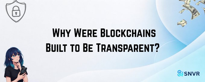 A title card reading 'Why Were Blockchains Built To Be Transparent?' with a shield/lock icon, floating money, an anime-style character, and the 'SNVR' logo.