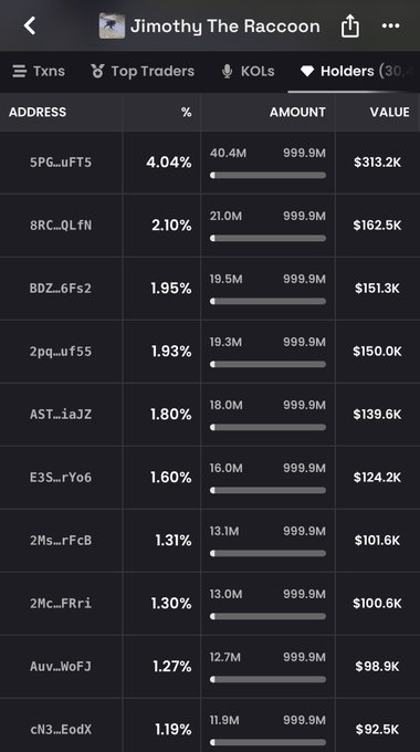 A mobile app screen titled 'Jimothy The Raccoon' displays a 'Holders' tab ranking crypto addresses by percentage, showing entries like '5PG...uFT5' at 4.04% with $313.2K value at the top.