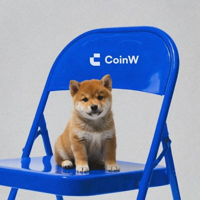 A Shiba Inu puppy sitting on a blue folding chair with the 'CoinW' crypto exchange logo on the backrest.