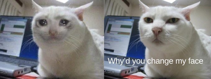 A side-by-side meme image of a white cat with watery eyes next to the same cat with a digitally altered more masculine face, captioned "Why'd you change my face."