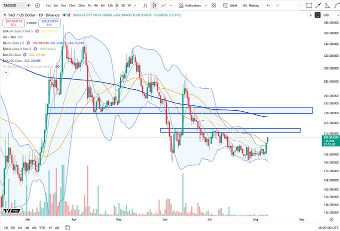 A TradingView daily chart of TAO/USD shows price around $209, currently testing a key resistance zone highlighted by two blue rectangles near $210–$240, with the post suggesting a short setup if price bounces slightly higher into resistance before reversing.