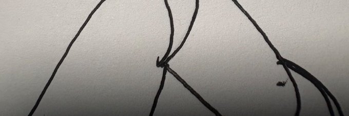 Hand-drawn black line sketches of ant figures on a white background, serving as the original artwork for the new @ant_clubz NFT project being introduced by @madamayo_.
