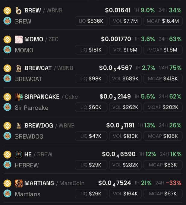 A cryptocurrency tracking interface listing meme tokens including BREW/WBNB at $0.01641 (+34%), MOMO/ZEC at $0.001770 (+63%), BREWCAT/WBNB (+75%), SIRPANCAKE/Cake (+62%), BREWDOG/WBNB (+26%), HEBREW/BREW (+1K%), and MARTIANS/MarsCoin (-33%) over 24 hours.