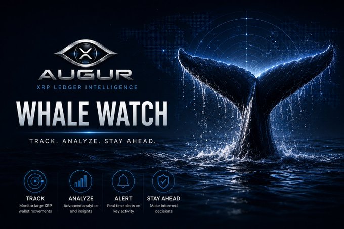 The image features a large, detailed picture of a whale's tail with water splashing around it. The background of the image is dark blue, which contrasts with the white text that reads "Whale Watch" at the top. Below this title, there are four bullet points providing information about Whale Watch and its purpose: "Track, Analyze, Stay Ahead.", "Analyze data on whale movements", "Stay ahead of whale migrations", and "Focus on what is in the image and how it relates to the post". The text "augurxrpl.com/whales/", which appears to be a website or platform related to Whale Watch, is also present in the image.