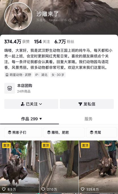 A Chinese Douyin profile page for "沙雕来了" (taotao0816), featuring a viral brown poodle mascot with 374.4万 likes (3.74M), 6.7万 followers (67K), and pinned videos like "熊崽子们" (8.5万 likes) and "秃鹭" (325.6万 likes/3.25M)—showcasing the account's wildly popular animal content that matches the caption's note about the Baldy video exploding overseas with 20M+ views.