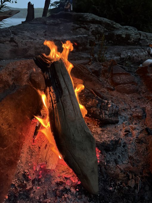 A campfire burns brightly, fueled by a large piece of driftwood, set against a rocky lakeside backdrop. The image visually echoes the post's rustic camping scene, with the crackling flames symbolizing the intense dismissal of $ANSEM to zero.