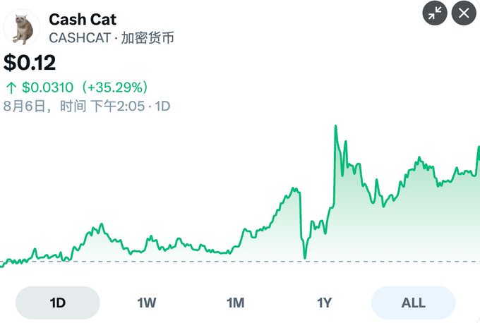 A price chart for the cryptocurrency Cash Cat (CASHCAT) showing a current price of $0.12, up $0.0310 (35.29%), with a 1D timeframe selected.