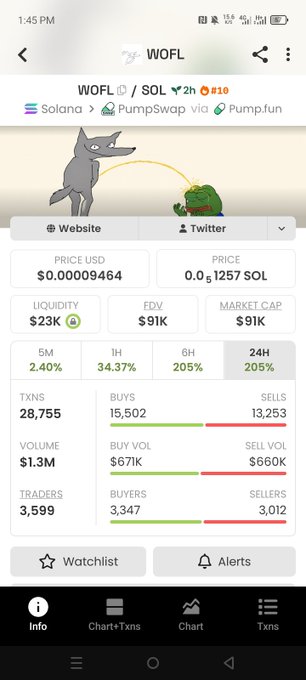 A cryptocurrency trading app screen showing the WOFL token on the Solana network via PumpSwap, displaying price (~$0.00009464), market cap ($91K), and a 24-hour gain of 205%.
